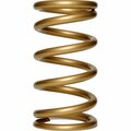 Safety First B750 750 lbs Front Spring - 9.5 x 5 in. SA3634213